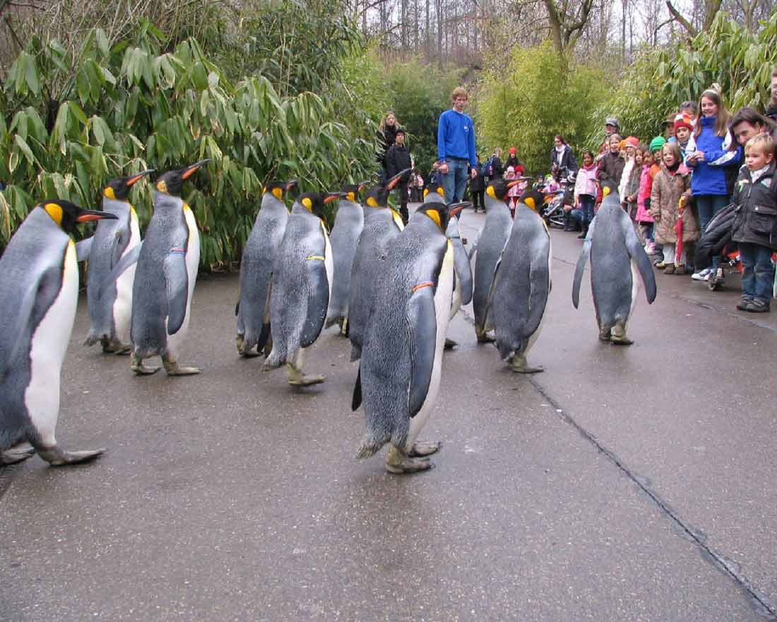 Zurich Zoo